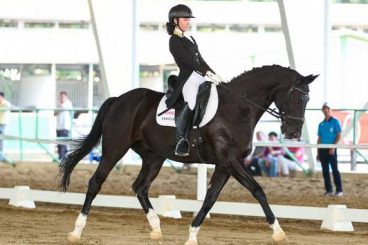 Dressage