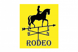 Rodeo Horse Riding